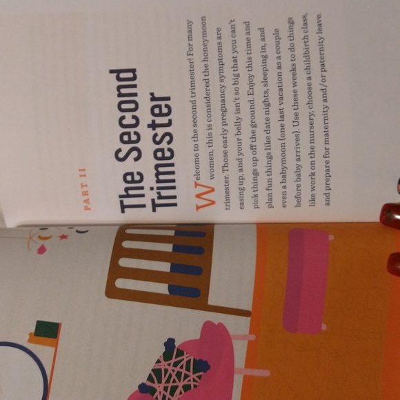 The First Time Pregnancy Handbook - Picture 9 of 9